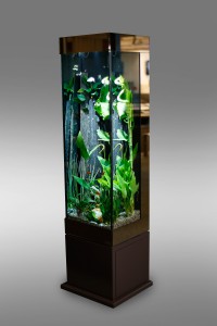 aquarium colonne