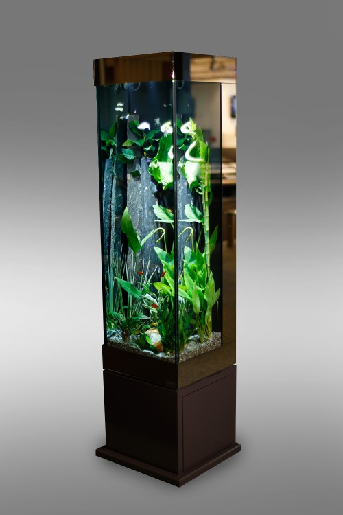 aquarium colonne