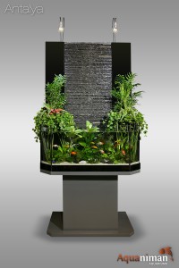 installation Ã  domicile fontaine aquarium pour votre entreprise