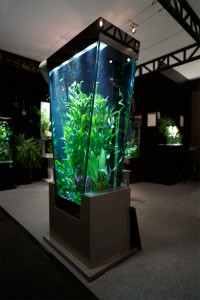 Aquarium Vissaya