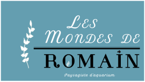 Payspaysagiste d'aquarium pour les professions mÃ©dicalesagiste d'aquarium
