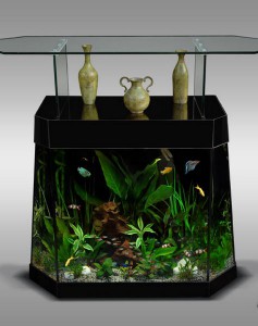 aquarium bar