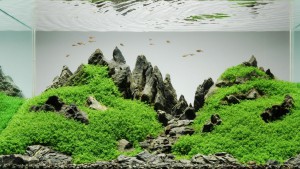 Mountainscape