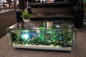 table de salon aquarium maiao